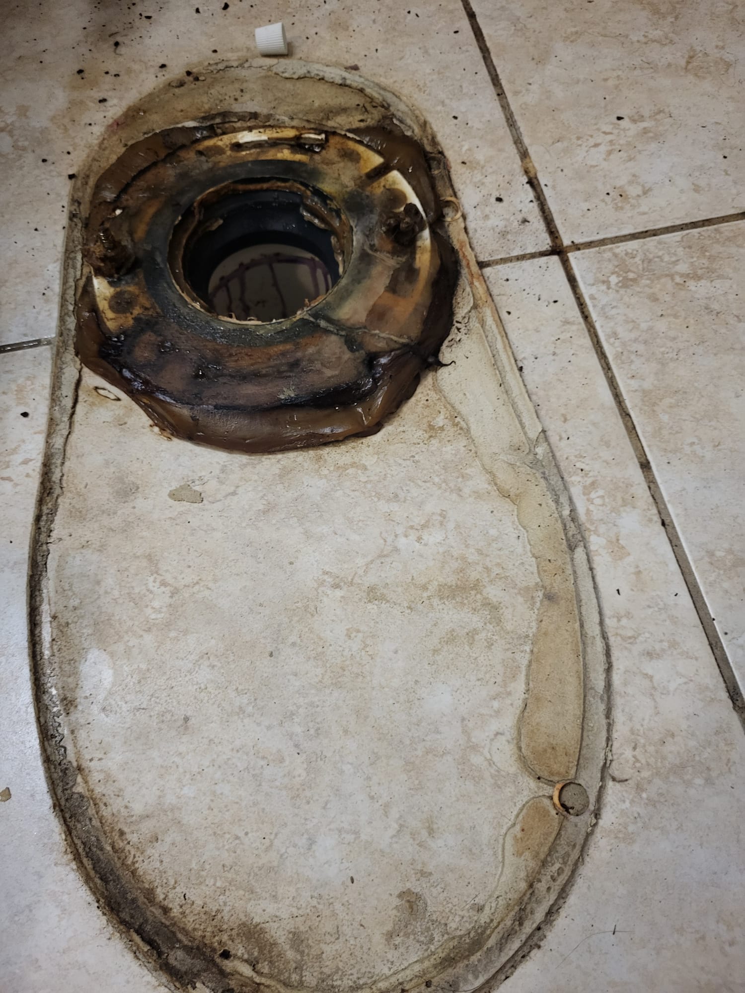 Toilet Flange Before Repair